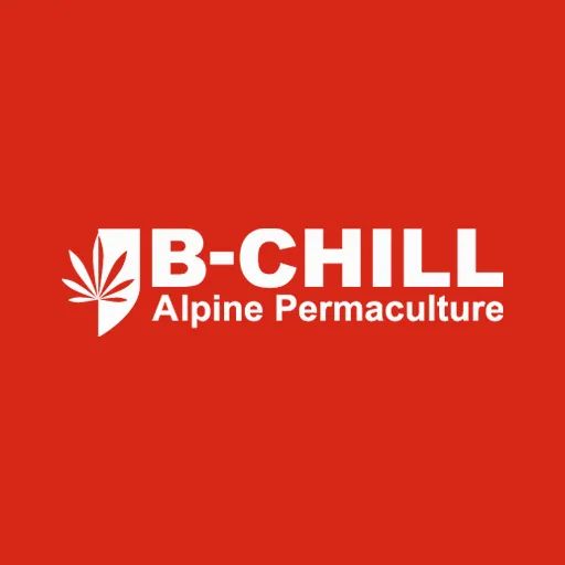 Code Promo B-Chill -10% → Welcome10